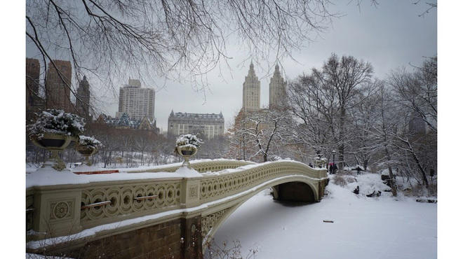 Winter in Central Park