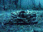 Youth-gone-wild movies: The Ring (2002)