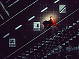 The Curious Incident of the D...