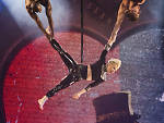 Pink at Madison Square Garden
