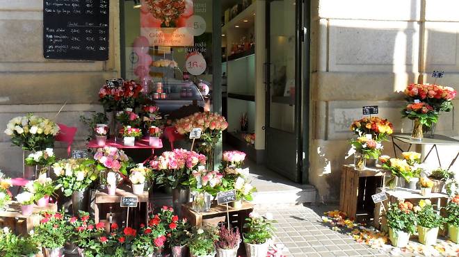 Les millors floristeries
