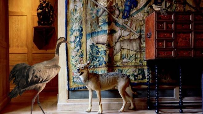 Karen Knorr, 'The Wolf's and the Stag's Room' (photo exposée lors de l'exposition 'Fables' dédiée à la photographe en 2008)