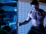 The Wolverine