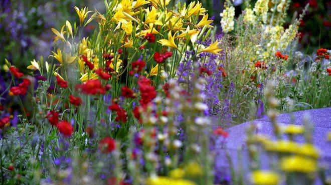 RHS Chelsea Flower Show 2013