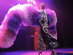 Second Annual New York Boylesque Festival