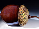 American Crafts Festival