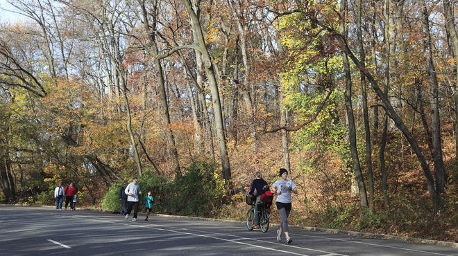 Prospect Park