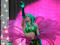 Electric Daisy Carnival