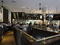 Dishoom