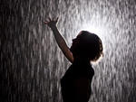 Random International, Rain Room