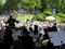 Memorial Day Concert at Green-Wood Cemetery