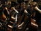 Orchestra Orchestra