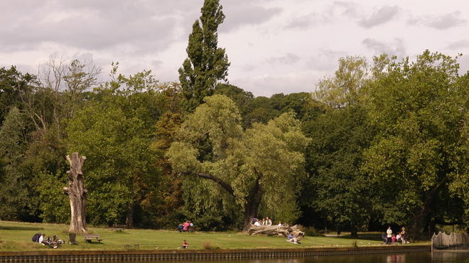 Hampstead heath Pond 