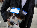 Nametag Day