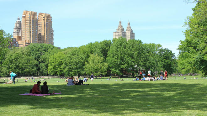 Central Park: The ultimate guide