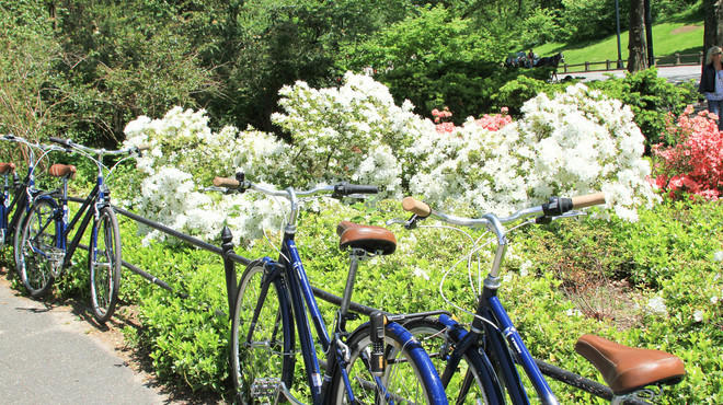 Central Park in New York, spring 2013