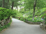NYC Central Park Bike Rental