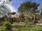 Dalston Eastern Curve Garden