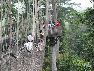 Canopy walk, Kakum National Park