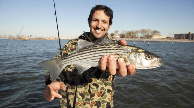 Ben Sargent with a small striped bass off the coast of Red Hook, Brooklyn.
