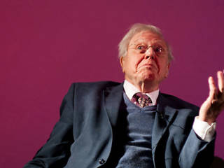 David Attenborough