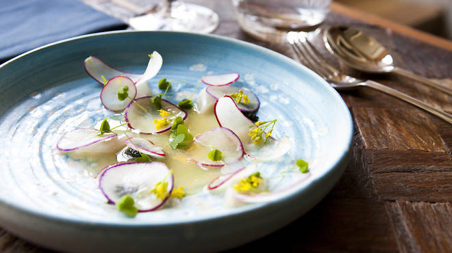 Razor clam at Luksus