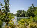 Lakeside