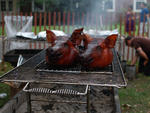 Pig Island 2011