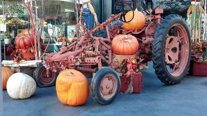 Fall Festival.