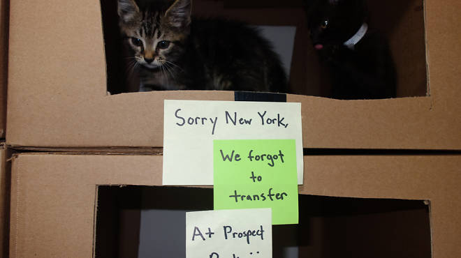 Arthur and August in their Bushwick foster home
