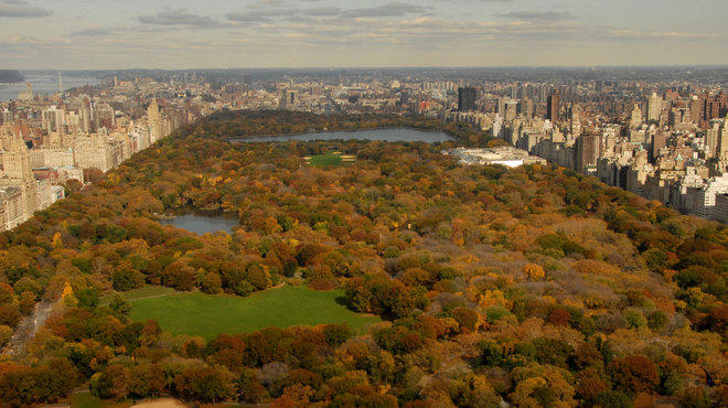 Where To See The Best Fall Foliage In Central Park