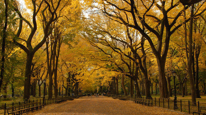 hook up spots in central park The central park conservancy released a list of the best spots to see foliage in the park as it hits its peak sign up for the rag extra, extra. hook up spots in central park The central park conservancy released a list of the best spots to see foliage in the park as it hits its peak sign up for the rag extra, extra.