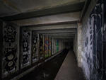 The Underbelly Project