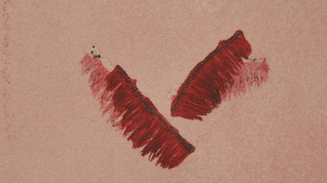Nikki Woloshyn, Untitled 2, 2012.