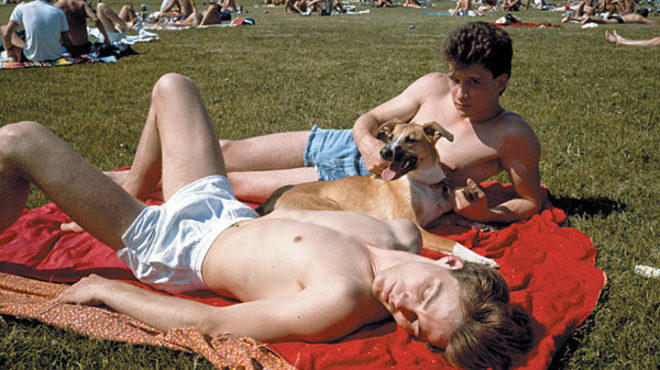 BEACHED MALES Gay sunbathers catch some rays at the Belmont Rocks.