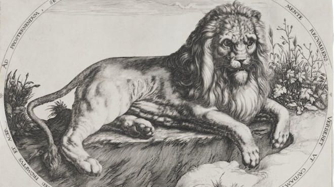 Jacques de Gheyn II, Great Lion, c. 1590.