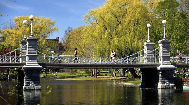 50 things to do in Boston: The Public Garden