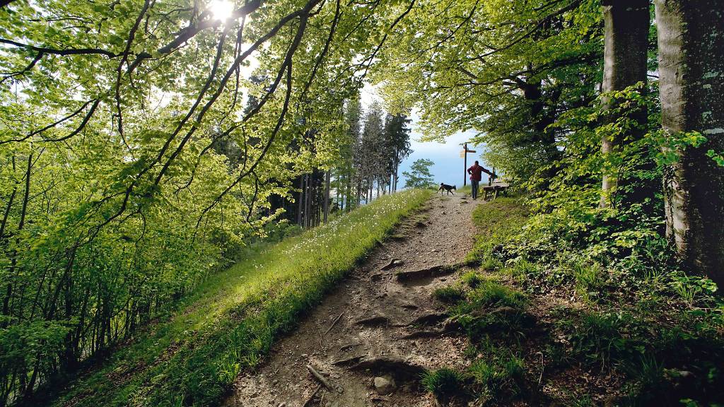 Wildnispark Z Rich Things To Do In Zurich Switzerland