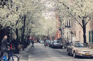 The 5 things only New Yorkers do in public