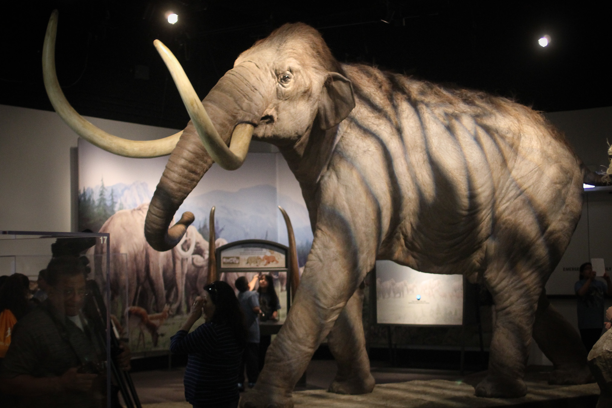 "Mammoths and Mastodons"