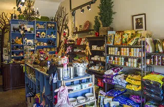 The best pet stores in Los Angeles