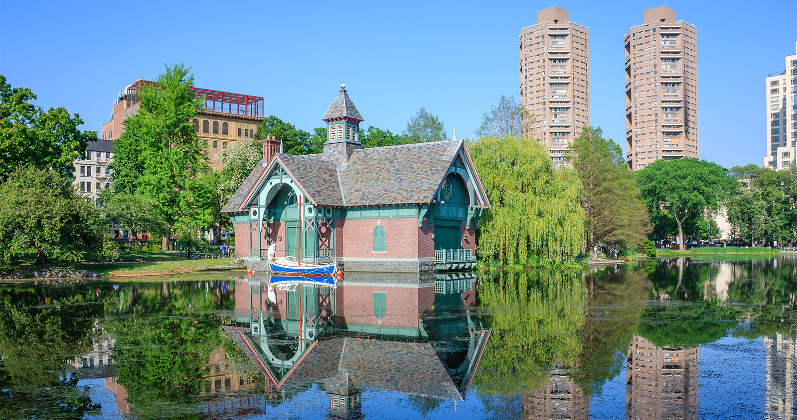 Central park in summer, see all the beautiful photos