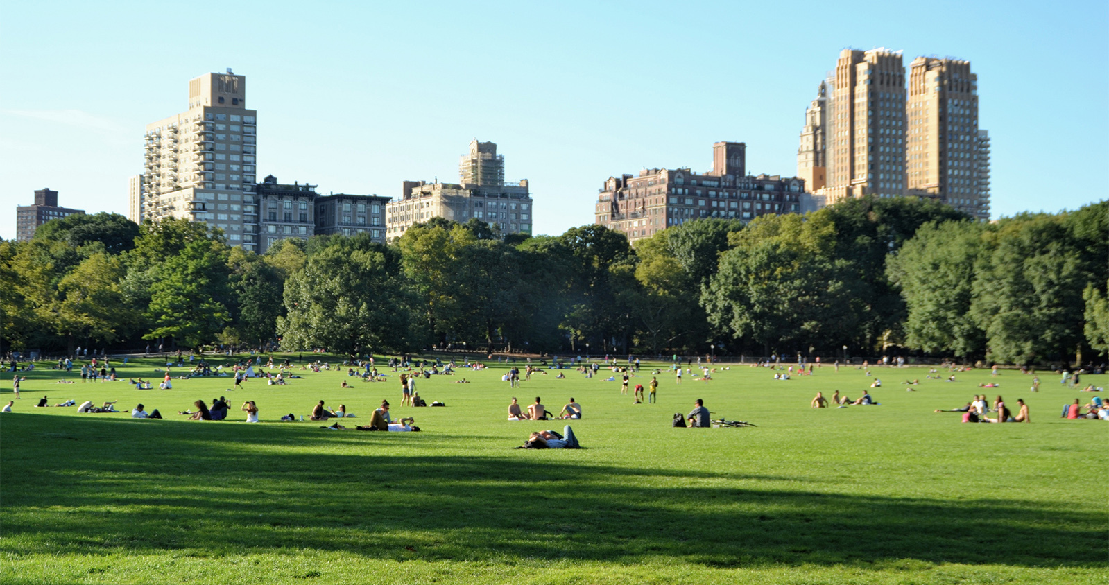 Central park in summer, see all the beautiful photos