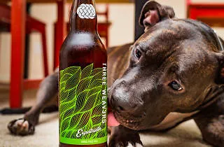 The best dog-friendly restaurants and bars in LA