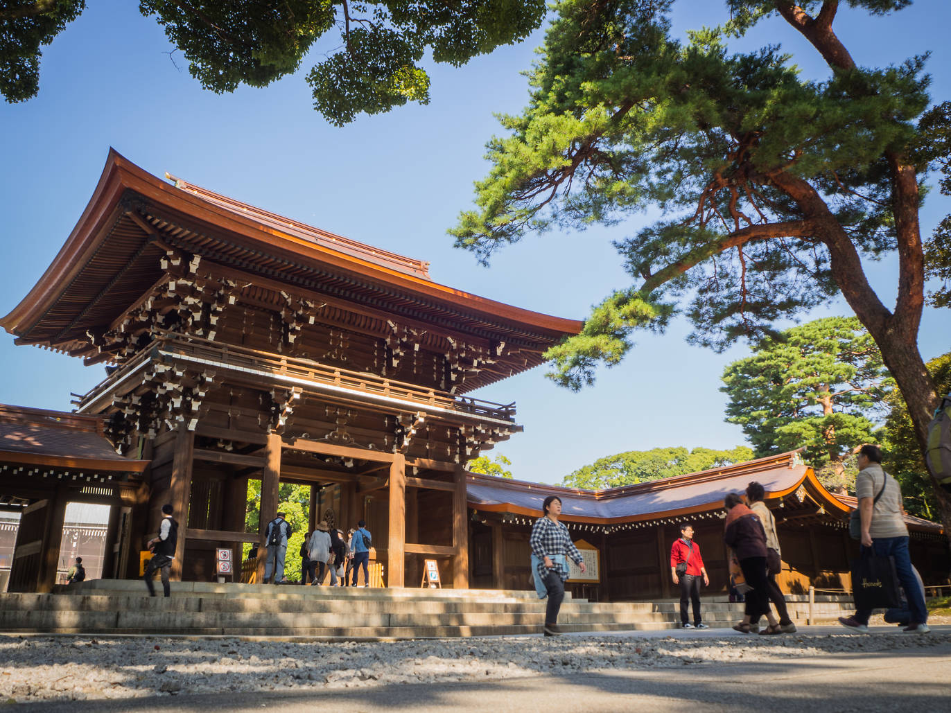 Hatsumode In Tokyo 2024 New Year Temple And Shrine Visits