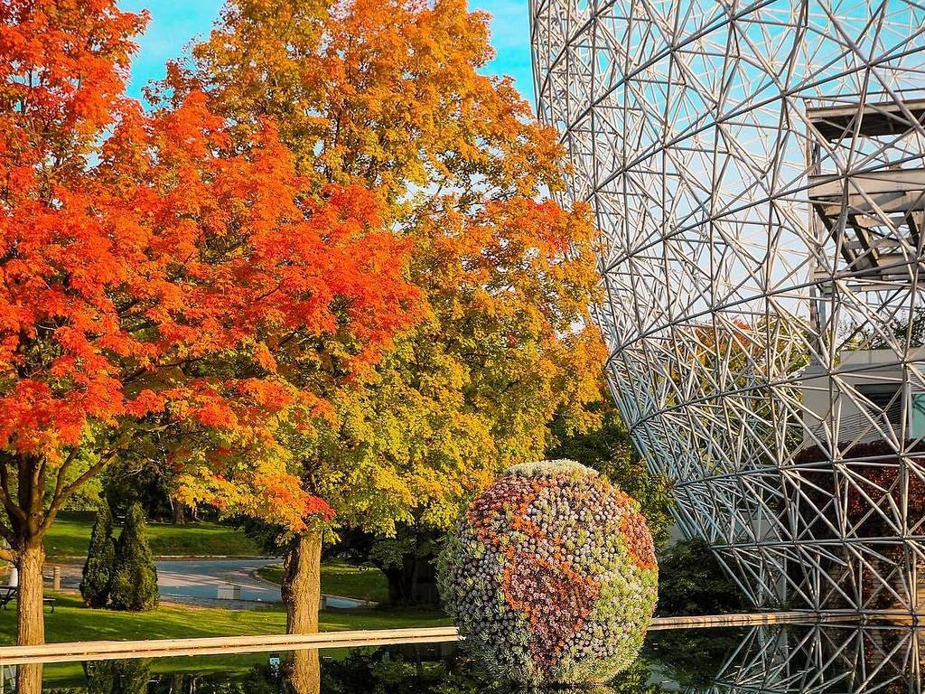 Best Places To See Fall Colours In Montreal