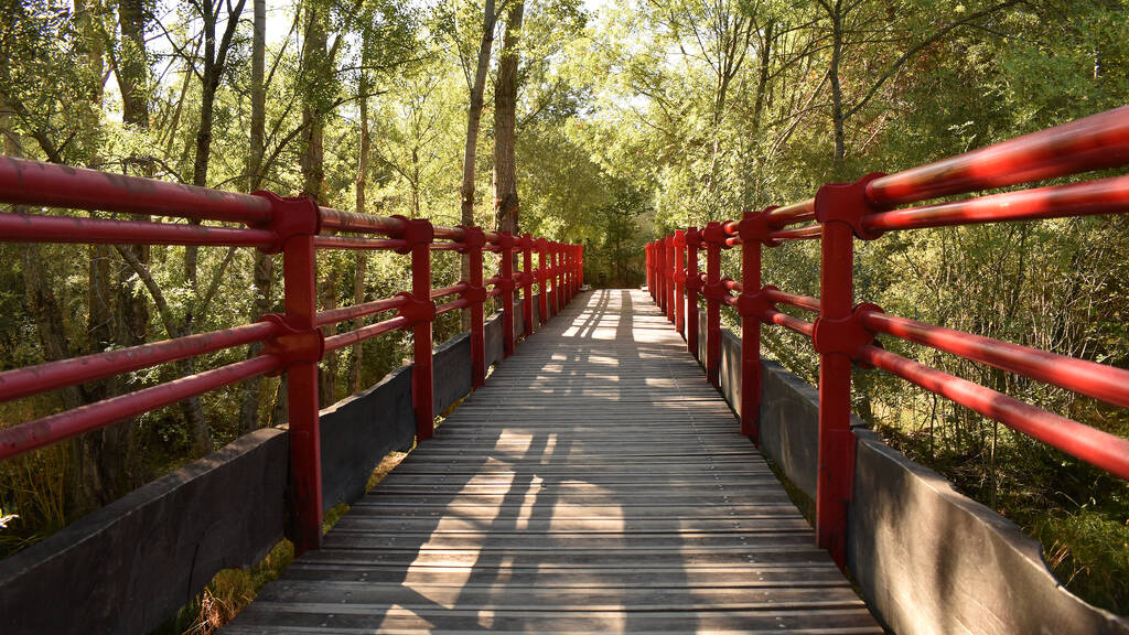 Los Bosques M S Bonitos De Madrid Para Visitar En Primavera