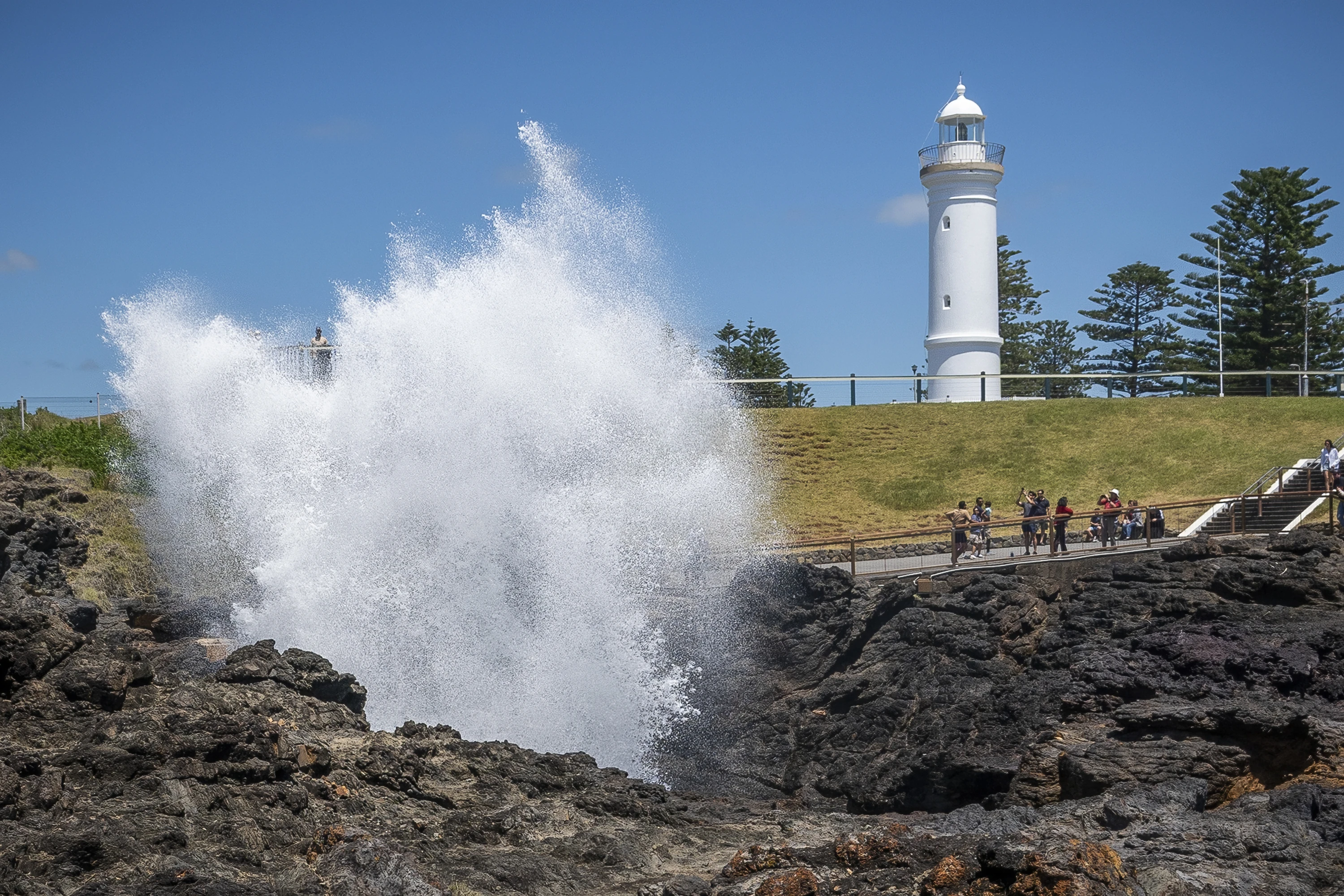 Blowhole whooshes