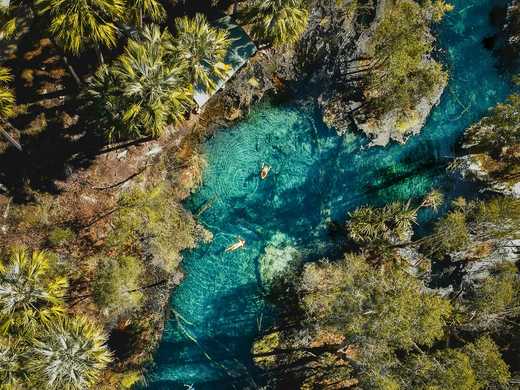 Aerial of Mataranka Thermal Pool