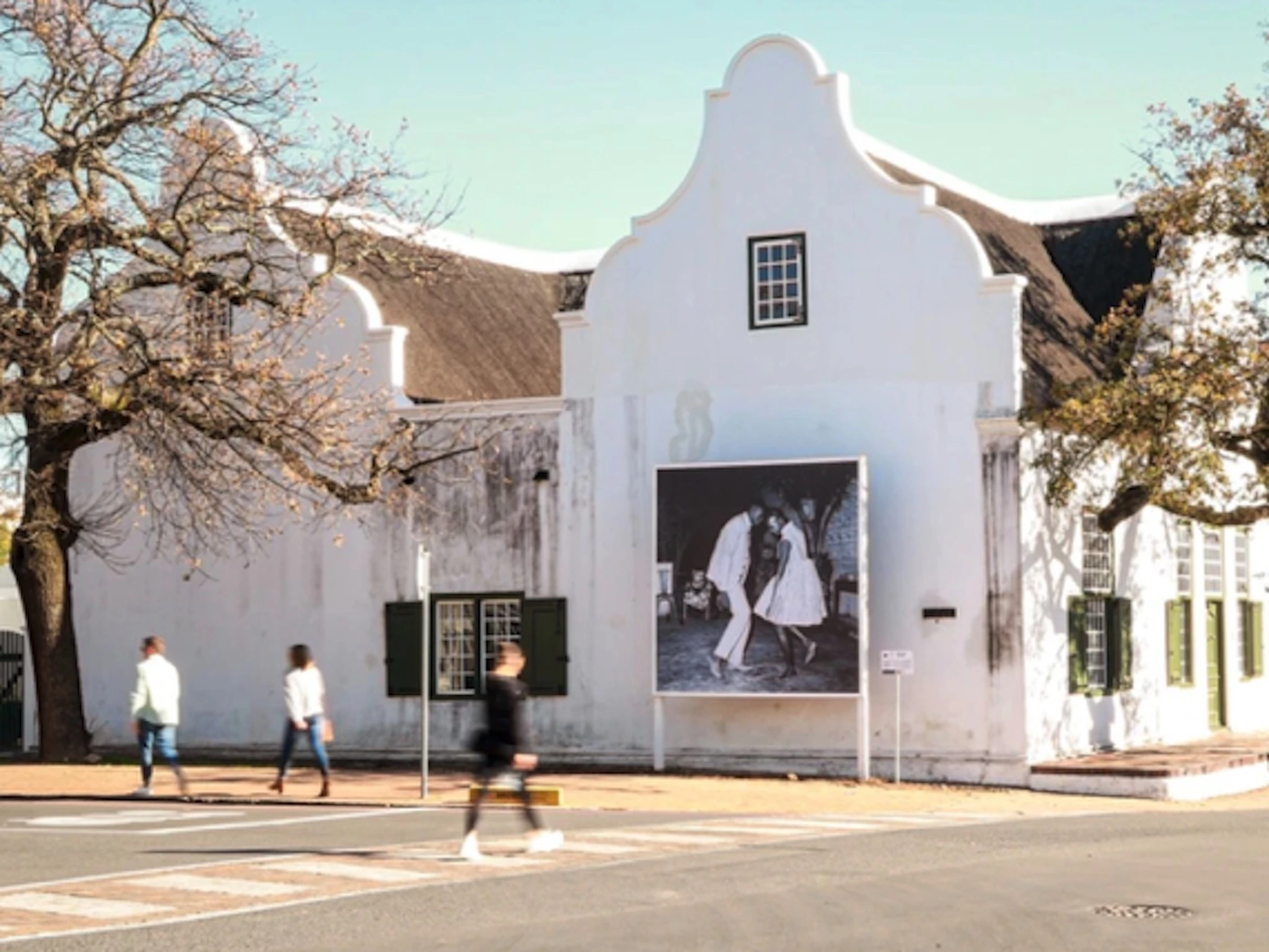 Stellenbosch art